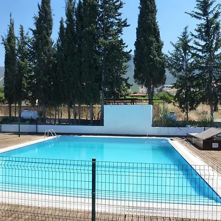 Citrus Homes Villa *